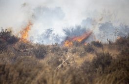  ۳۳ مورد آتش سوزی در جنگل‌ها و مناطق حفاظت شده خوزستان طی سه ماهه سالجاری رخ داد