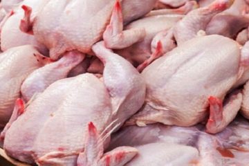 افزایش بیش از ۱۱۸ درصدی قیمت مرغ