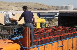 عراق مقصد اول صادرات محصولات کشاورزی ایران