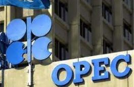۸۰ درصد سهم بازار نفت در اختیار اوپک