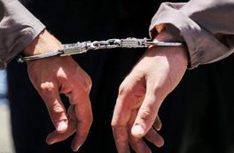 سه نفر از سارقان باغات اطراف کمالشهر کرج دستگیر شدند