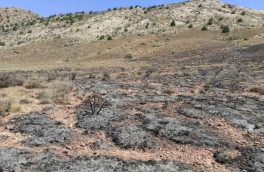 خسارت ۳میلیاردو۵۳۰ میلیون ریالی آتش سوزی به پارک ملی ساریگل اسفراین