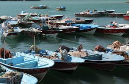 با افزایش قدرت موتور قایق‌های صیادی استان بوشهر موافقت شد