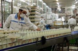 آشفتگی بازار شیر با سپرده شدن کنترل آن به وزارت جهادکشاورزی شروع شد