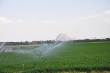 بخش کشاورزی استان اردبیل به دستاوردهای چشمگیری دست یافته است