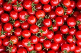 بر اساس اعلام مرکز آمار؛ گوجه فرنگی رکوردار افزایش قیمت در تابستان ۱۴۰۰