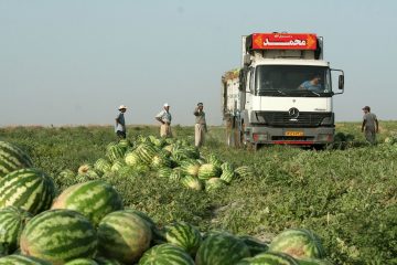 مقام دوم  و سوم جهانی برای ایران در تولید هندوانه و خربزه  مایه افتخار نیست