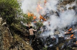 مهار حریق در بیش از ۲ هکتار جنگل های فومن و رودبار در گیلان