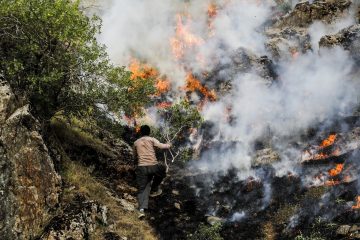 مهار حریق در بیش از ۲ هکتار جنگل های فومن و رودبار در گیلان