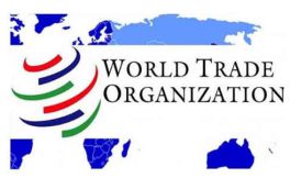 سازمان تجارت جهانی در مناقشه تجاری با آمریکا، از چین حمایت می کند