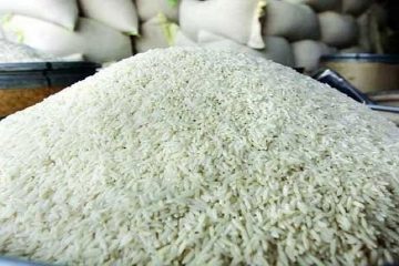 ۱۰۰ هزار تن برنج وارداتی در سراسر کشور توزیع می‌شود