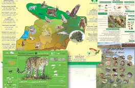 بازنشر چهار پوستر تنوع زیستی و جانوری البرز در فضای مجازی