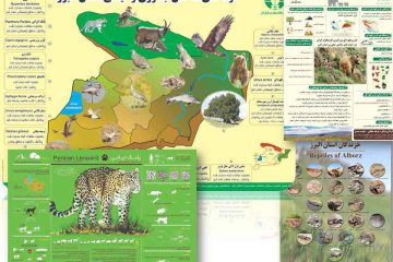 بازنشر چهار پوستر تنوع زیستی و جانوری البرز در فضای مجازی