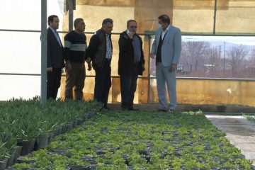 تولید قریب به یک میلیون بوته گلهای زینتی در تبریز