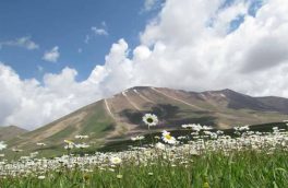 لباس دید و بازدید نوروزی جایگزین رخت سپید زمستانی عروس سهند