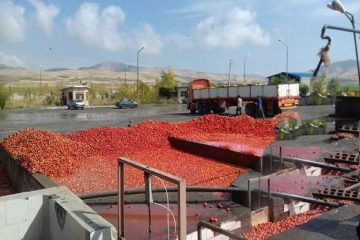 سرمایه‌گذاری صنایع تبدیلی در استان اردبیل ضعیف است