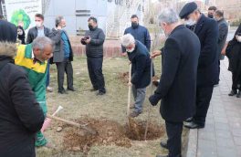 کاشت ۱۱۷ نهال به میمنت بازگشت به زندگی ۱۱۷ کودک سرطانی در تبریز