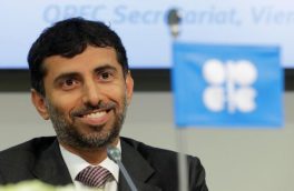 وزیر انرژی امارات؛ نوسان بازار نفت را گردن اوپک پلاس نیندازید