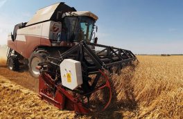 صادرات گندم اوکراین به ۱۸.۵ میلیون تن رسید