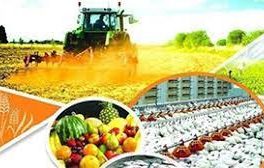 بازار سرمایه ابزاری مناسب برای افزایش سرمایه‌گذاری در بخش کشاورزی