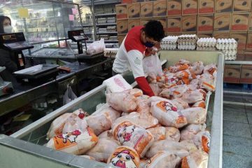 توزیع به اندازه مرغ موجب کاهش قیمت در بازار آذربایجان شرقی شده است