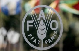 فائو اعلام کرد؛ بازگشت اندک قیمت برخی اقلام غذایی
