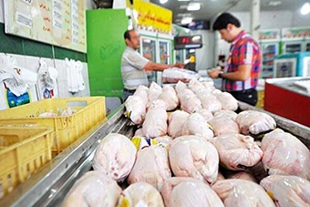 کاهش قیمت مرغ در بازار عمده فروشی تهران