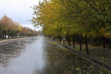 رگبار باران نواحی شمالی آذربایجان شرقی را فرا می گیرد