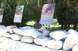 کشف یک تُن و ۴۰۰ کیلو مواد افیونی در عملیات پلیس اصفهان