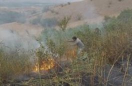مهار آتش سوزی در جنگل‌های ارسباران