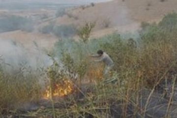 مهار آتش سوزی در جنگل‌های ارسباران