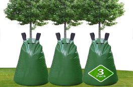 سالزبورگ از کیسه‌های آب برای کمک به درختان در مقابل گرما استفاده می‌کند