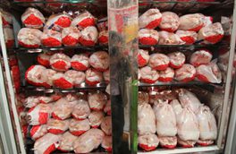 قیمت مرغ در میادین میوه و تره بار تهران