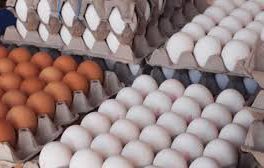 دولت آخر شهریور درباره قیمت تخم مرغ تصمیم گیری می کند