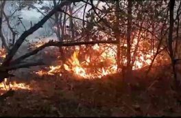 آتش‌سوزی در جنگل‌های ارسباران؛ از خاموشی تا استقرار بالگرد