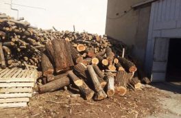 ایران سالانه به ۱۰ میلیون متر مکعب واردات چوب نیاز دارد