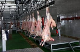 ۸۳ درصد گوشت مصرفی کشور در داخل تولید می‌شود