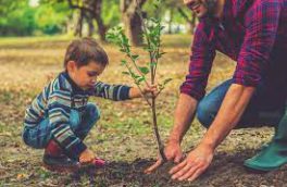 فرهنگ درختکاری باید از کودکی در جامعه نهادینه شود