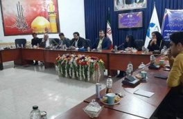 همایش مدیریت مصرف برق در شهرستان مهران برگزار شد