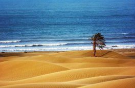 تاکید دولت بر توسعه سواحل مکران با تکیه بر حفظ محیط‌زیست