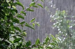 بارش ۴ روزه باران در برخی استان‌ها/ هشدار طوفانی شدن دریا در جنوب کشور