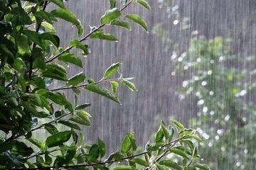 بارش ۴ روزه باران در برخی استان‌ها/ هشدار طوفانی شدن دریا در جنوب کشور