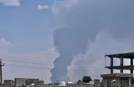 آتش سوزی گسترده نی زارهای شرق شیراز/امداد هوایی نیاز است