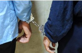 عنصر ضد امنیتی در شهرستان قرچک دستگیر شد