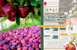 پوستر حمایت از ایده‌های فناورانه در زمینه بهره‌وری سیب مراغه منتشر شد