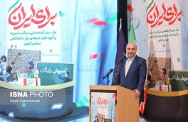 رئیس مجلس شورای اسلامی: حرف انقلابی در فضای کار جهادی رونق می یابد