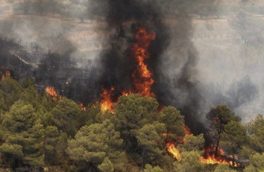 آتش سوزی جنگل‌های تنکابن همچنان ادامه دارد