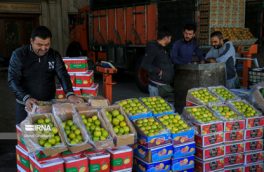 بهای میوه و سبزی در نیمه اول آذرماه ۱۴۰۲ افزایش یافت