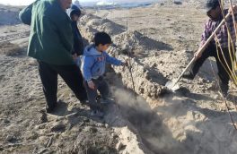 ایجاد نخستین بوستان روستایی در قالب طرح کاشت یک میلیارد درخت در یکی از روستاهای تبریز