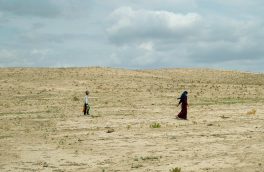تدوبن برنامه جهادی برای احیای ۳ میلیون هکتار از اراضی بیابانی کشور